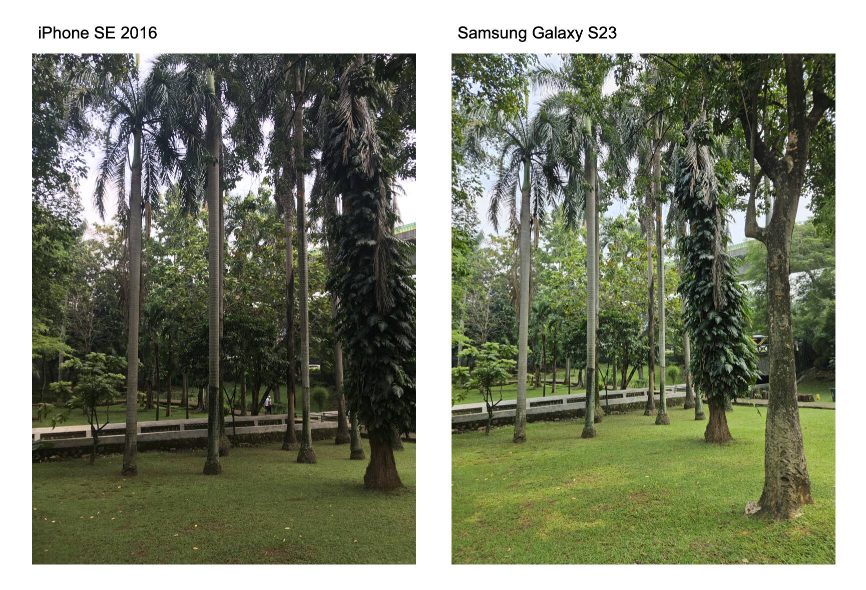 Kondisi Pencahayaan Penuh 2